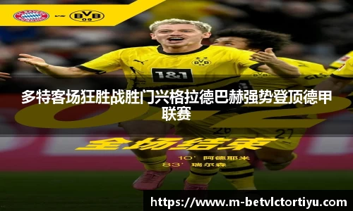 betvlctor体育